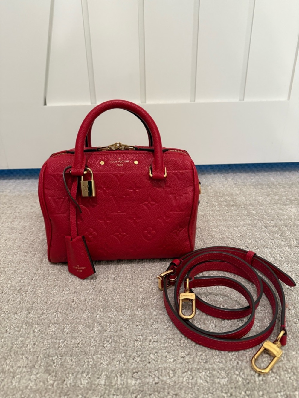 Louis Vuitton Speedy 20